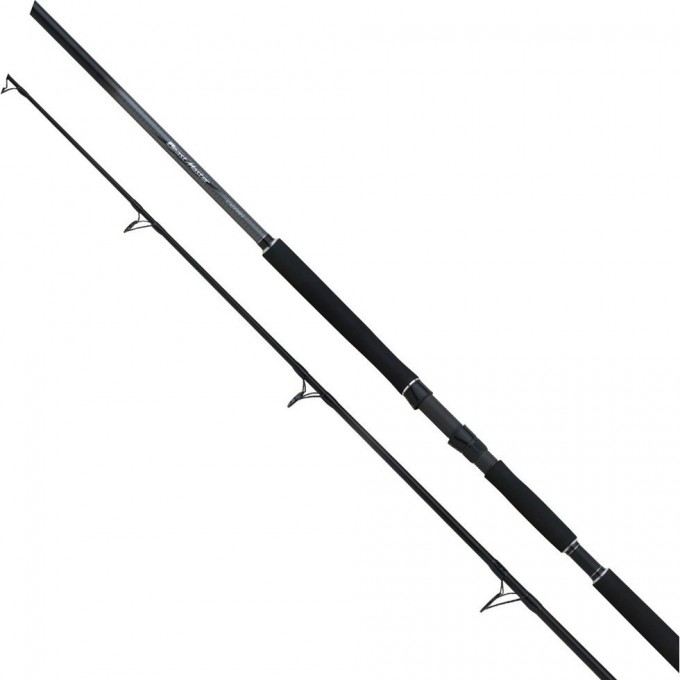 Удилище SHIMANO BEASTMASTER CATFISH FIRE BALL EXTREME 210 SBMCFFB21XT